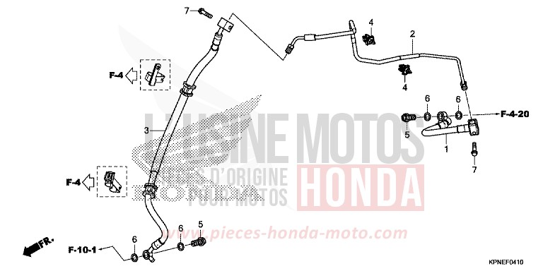 BREMSLEITUNG (GLR1251WHH) von CBF125 PEARL TWINKLE YELLOW (Y202) von 2017