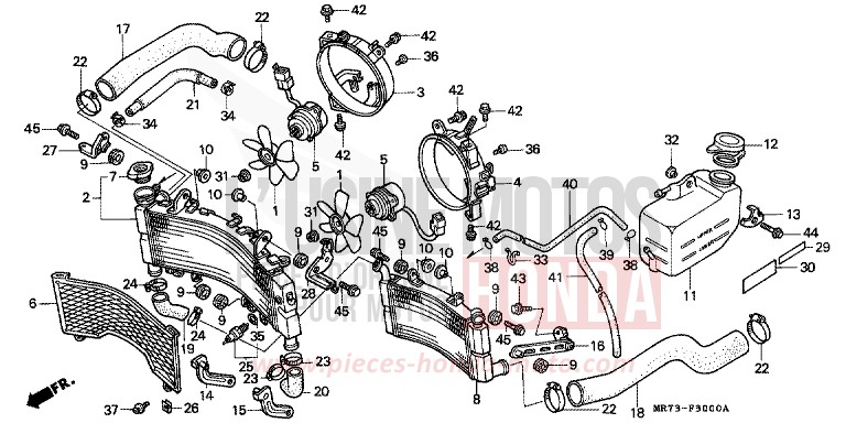 RADIATEUR von RC30 PEARL CRYSTAL WHITE (NH193H) von 1988