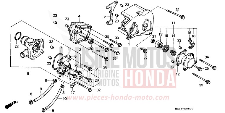 PANNEAU CARTER-MOTEUR G./ POMPE A EAU von RC30 PEARL CRYSTAL WHITE (NH193H) von 1989
