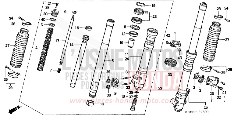 GABEL, VORNE von XR250R FIGHTING RED (R134) von 2004