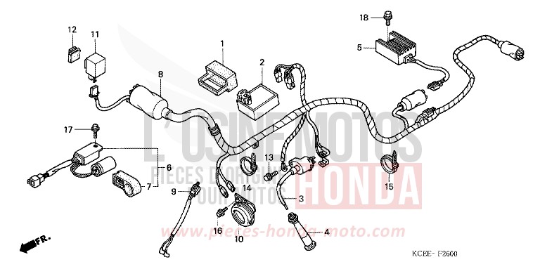 KABELBAUM/ZUENDSPULE von XR250R FIGHTING RED (R134) von 2004