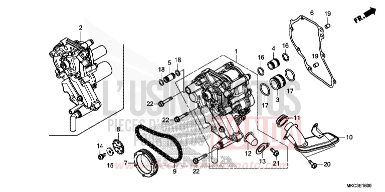 POMPE A HUILE von GL1800 CANDY ARDENT RED (R367) von 2018