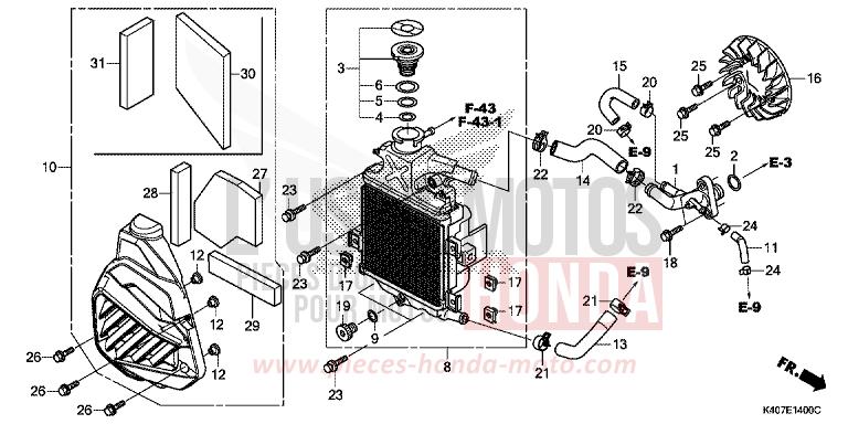RADIATEUR von Forza MAT CYNOS GRAY METALLIC (NH312N) von 2018