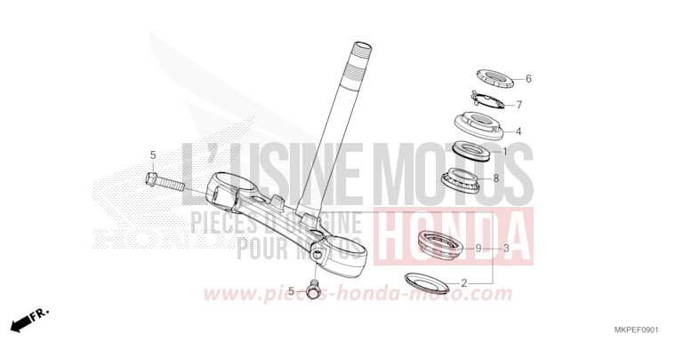 LENKSCHAFT (CB500FAN/P) von CB500F GRAND PRIX RED (R380) von 2022