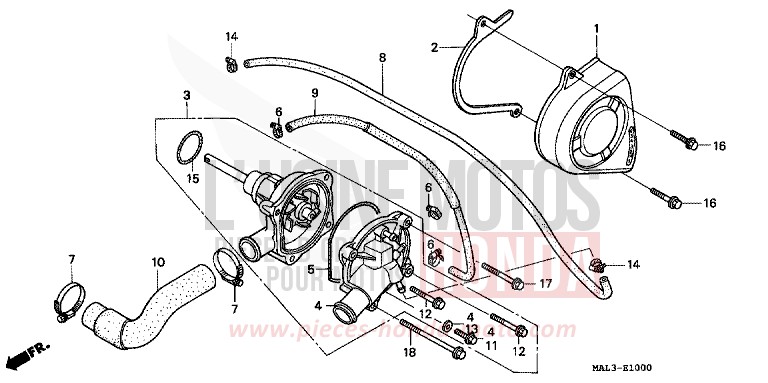 WASSERPUMPE von CBR600F SCHWARZ (NH1N) von 1998