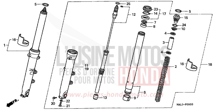 GABEL, VORNE von CBR600F SPARKLING RED (R127A) von 1998