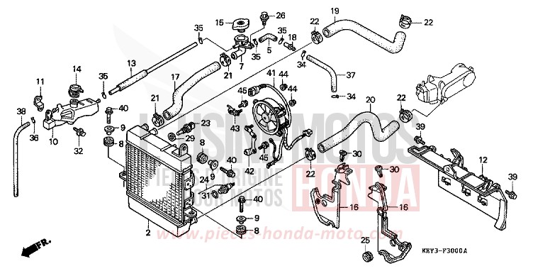 KUEHLER von Pantheon CYNOS GRAY METALLIC (NH400) von 2001
