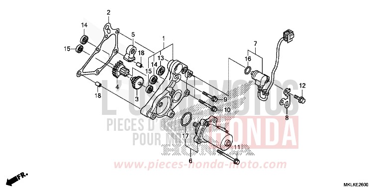 REDUZIERGETRIEBE von NC750S CANDY CHROMOSPHERE RED (R381) von 2019