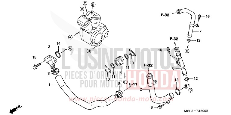 WASSERROHR von Deauville PEARL CAMPARI RED (R273) von 2002