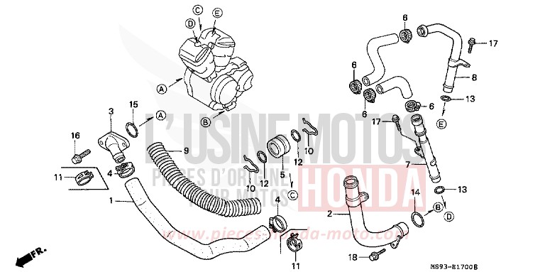 WASSERROHR von NTV TOSCANA GREEN (G130) von 1993