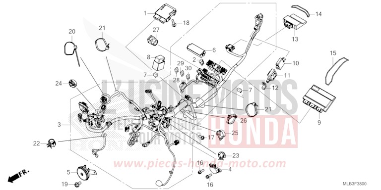 KABELBAUM von CB750A MAT GOLDFINCH YELLOW (Y242) von 2023