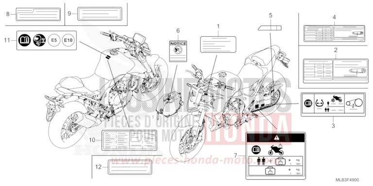 WARNETIKETT von CB750A MAT GOLDFINCH YELLOW (Y242) von 2023