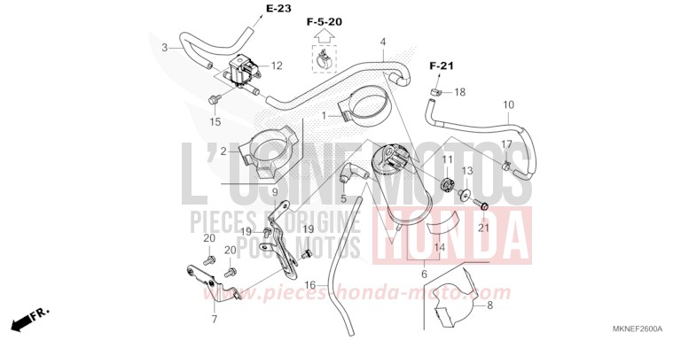 AKTIVKOHLEBEHAELTER von CBR650R GRAND PRIX RED (R380) von 2019