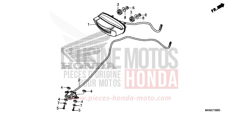 HECKLEUCHTE/KENNZEICHENBELEUCHTUNG von CBR650R GRAND PRIX RED (R380) von 2019