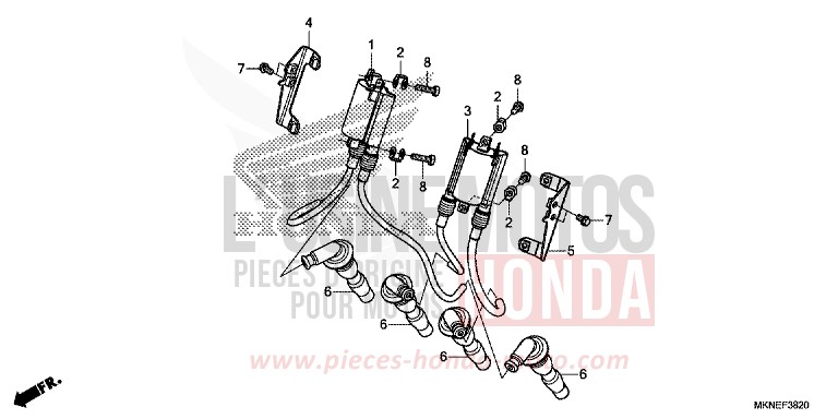 ZUENDSPULE von CBR650R GRAND PRIX RED (R380) von 2019