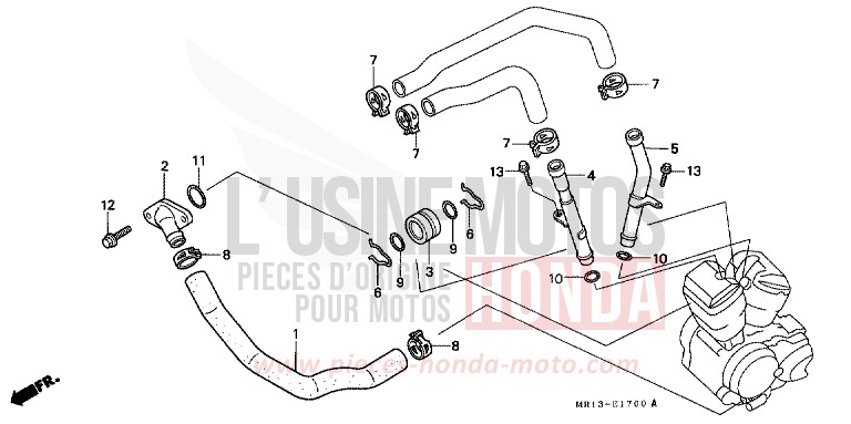 WASSERROHR von Shadow CANDY WINE BERRY RED-U (R114) von 1992