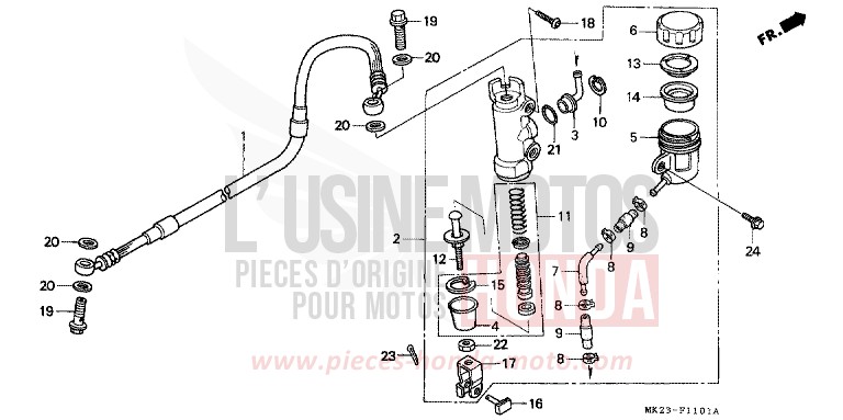 BREMSPLATTE, HINTEN von XR600R SHASTA WHITE (NH138H) von 1992