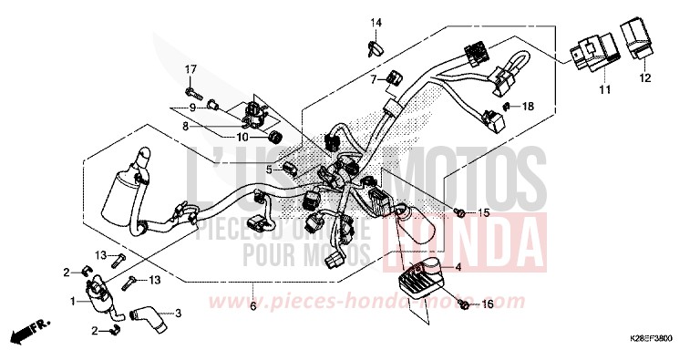 KABELBAUM von CRF125FB EXTREME RED (R292) von 2022