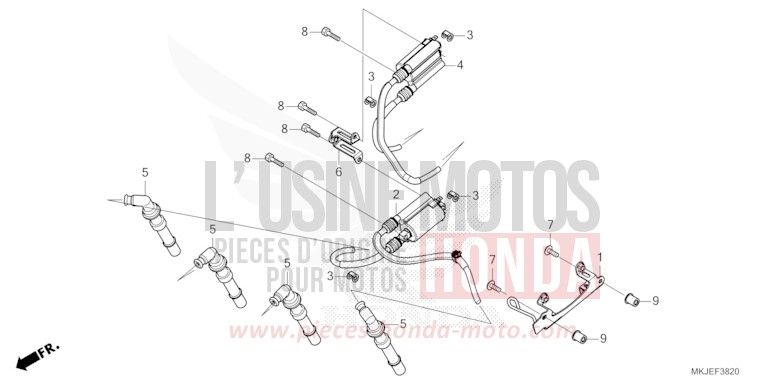 ZUENDSPULE von CB1000R BORDEAUX RED METALLIC (R337) von 2023