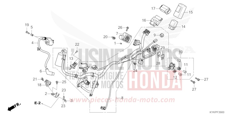 KABELBAUM von CRF110F EXTREME RED (R292) von 2023