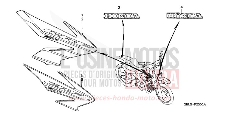 MARKE/STREIFEN (CRF50F4/5) von CRF50F EXTREME RED (R292) von 2004