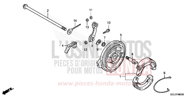 BREMSPLATTE, HINTEN von CRF50F EXTREME RED (R292) von 2010