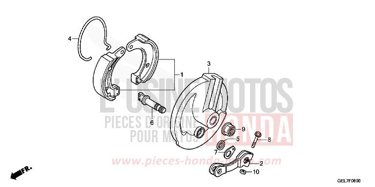 BREMSPLATTE, VORNE von CRF50F EXTREME RED (R292) von 2012