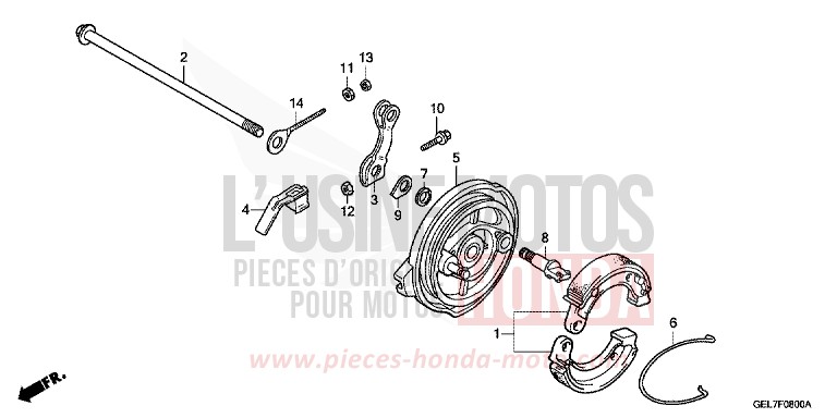 BREMSPLATTE, HINTEN von CRF50F EXTREME RED (R292) von 2013
