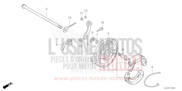 BREMSPLATTE, HINTEN von CRF50F EXTREME RED (R292) von 2022