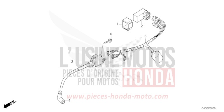 KABELBAUM von CRF50F EXTREME RED (R292) von 2023