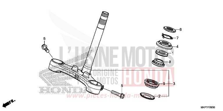 TIGE DE DIRECTION (CB400XAK,CB500X,CB500XAK/L/M) von CB500X PEARL METALLOID WHITE (NHA96) von 2019