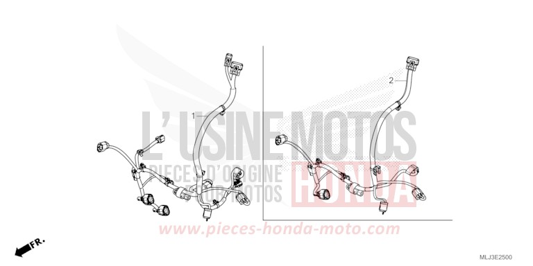 CORDON AUXILIAIRE von GL1800 GRAPHITE BLACK (NHB01) von 2023