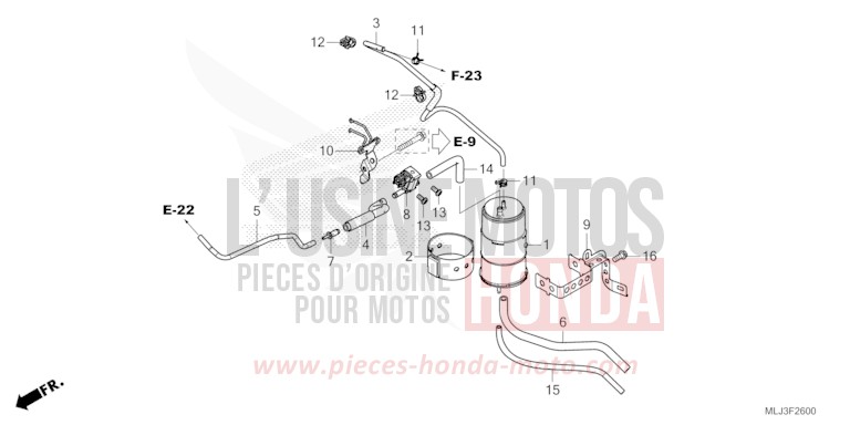 CUVETTE von GL1800 PEARL GLARE WHITE (NHB53) von 2023