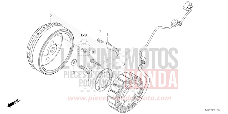 GENERATOR von X-ADV SHASTA WHITE (NH138) von 2023