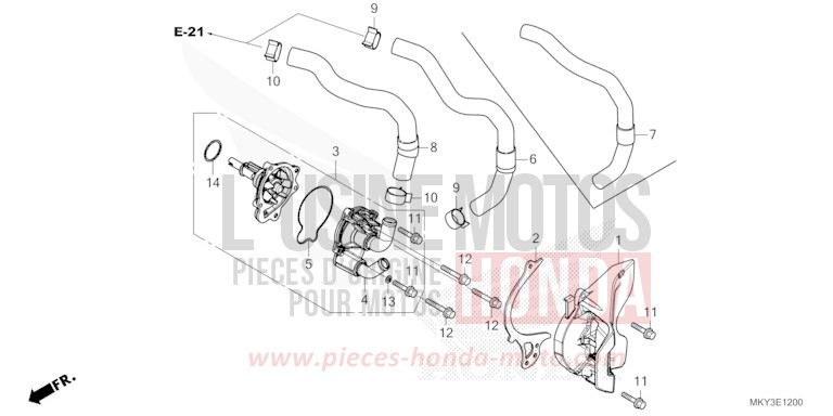 WASSERPUMPE von CBR650R GRAND PRIX RED (R380) von 2021