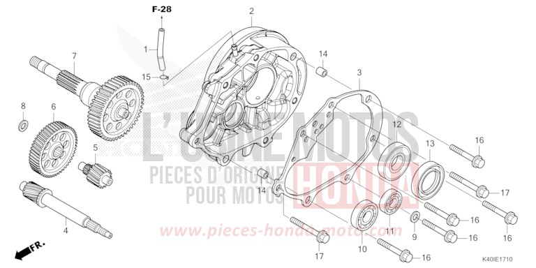 BOITE DE VITESSES von Forza MAT CYNOS GRAY METALLIC (NH312) von 2023