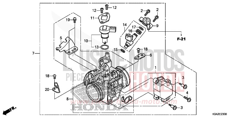CORPS DE PAPILLON von CB300R NOIR (NH1) von 2019
