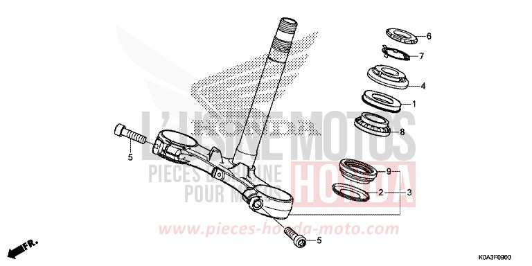 TIGE DE DIRECTION von CB300R CANDY CHROMOSPHERE RED (R381) von 2019