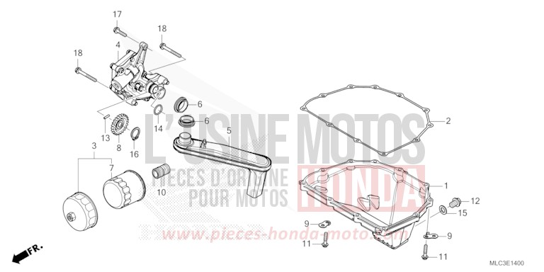 OELWANNE/OELPUMPE von XL750 ROSS WHITE (NH196) von 2023