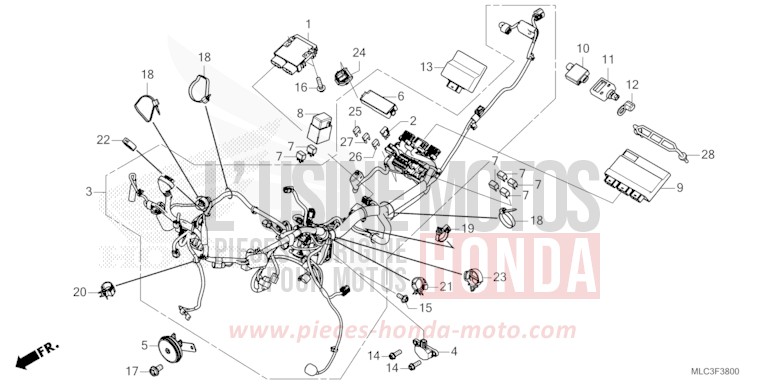 KABELBAUM von XL750 ROSS WHITE (NH196) von 2023