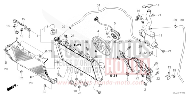 KUEHLER/RESERVETANK von XL750 ROSS WHITE (NH196) von 2023