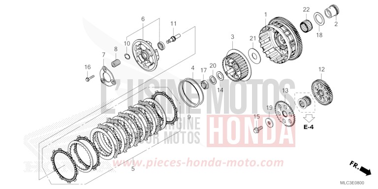 EMBRAYAGE von XL750 ROSS WHITE (NH196) von 2023