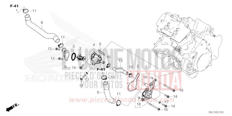 THERMOSTAT/DURIT D'EAU von XL750 ROSS WHITE (NH196) von 2023