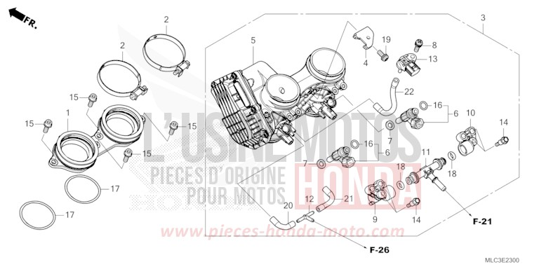 CORPS DE PAPILLON von XL750 ROSS WHITE (NH196) von 2023