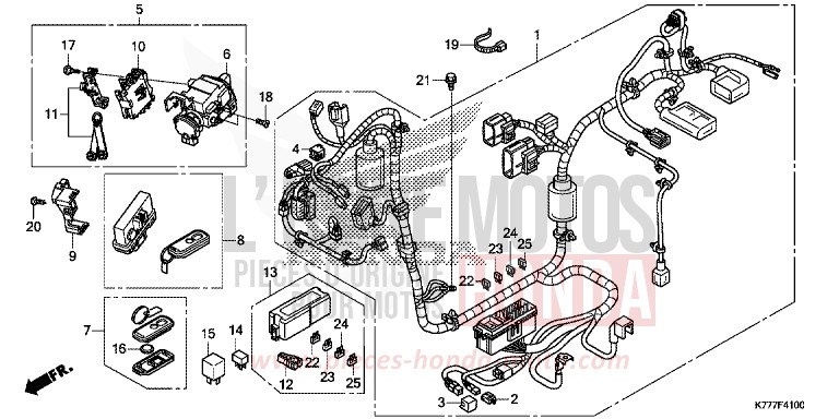 FAISCEAU DES FILS von SH125AD PEARL SPLENDOR RED (R369) von 2017
