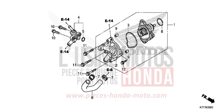 POMPE A EAU von SH125AD PEARL SPLENDOR RED (R369) von 2019