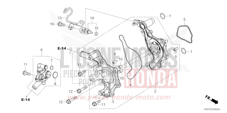 POMPE A EAU von SH125AD PEARL SPLENDOR RED (R369) von 2022