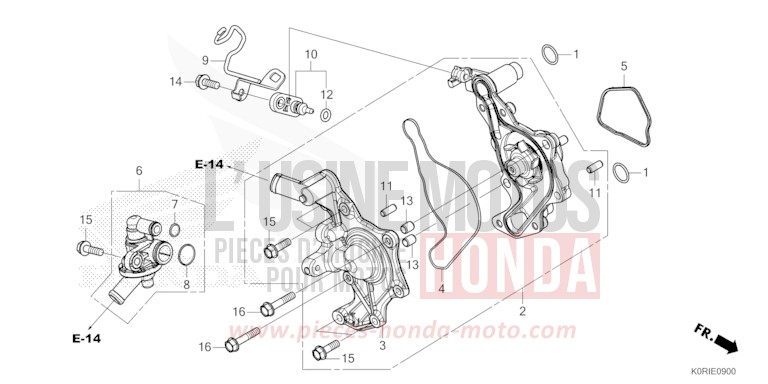 POMPE A EAU von SH125AD PEARL FALCON GRAY (NHC61) von 2023