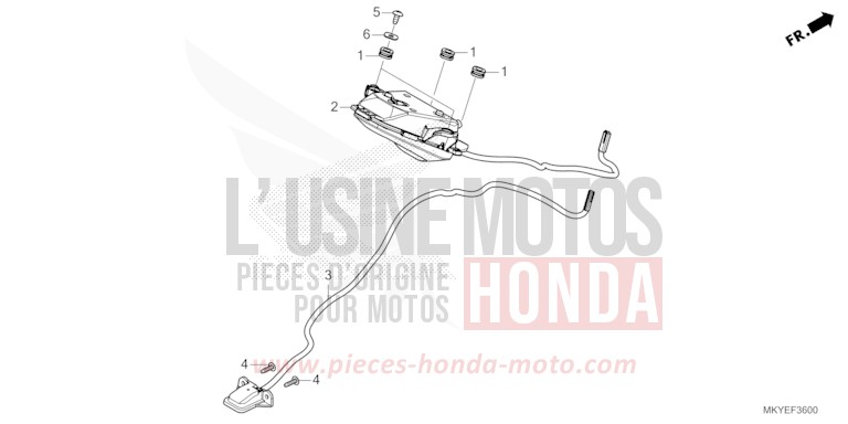 HECKLEUCHTE/KENNZEICHENBELEUCHTUNG von CB650R MAT LAUREL GREEN METALLIC (G207) von 2024