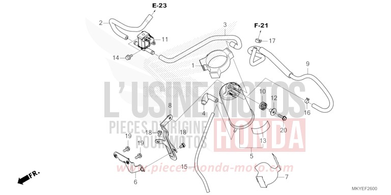 AKTIVKOHLEBEHAELTER von CB650R CANDY CHROMOSPHERE RED (R381) von 2024